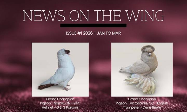 The Online Version of The 2026 News on the Wing Vol.1 Is Available to our Members!
